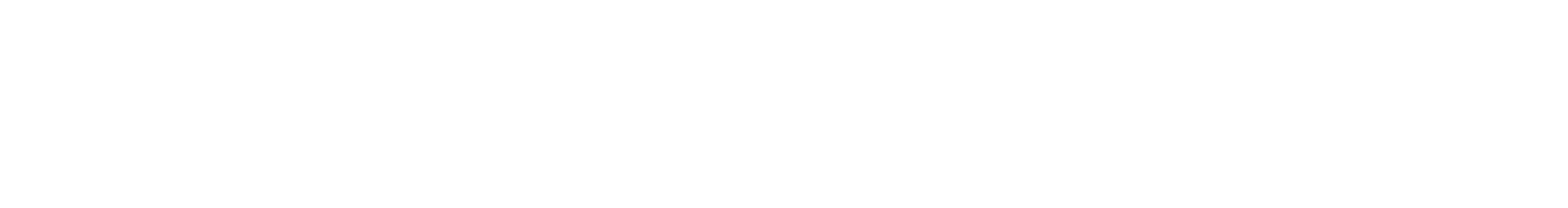 zehnder solution GmbH